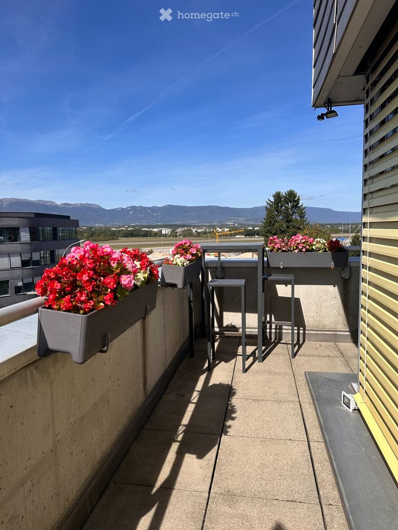 6 pièces au dernier étage avec terrasses Grand-Saconnex (1)