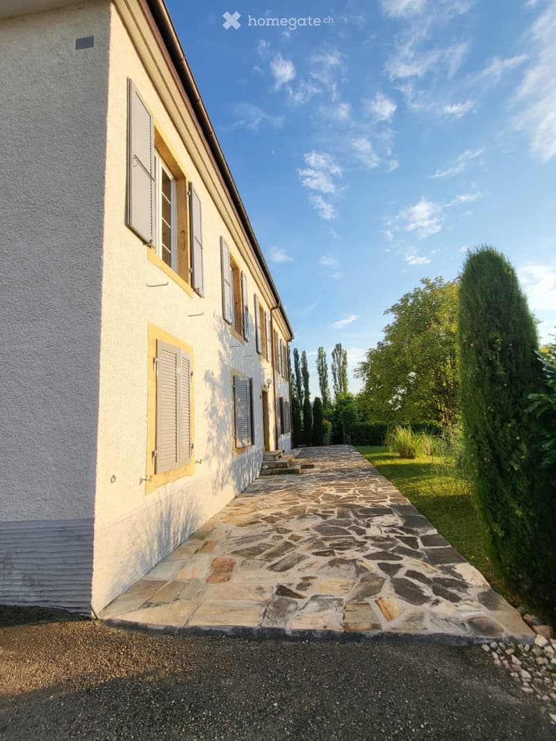 Charmant appartement de 3 pcs à Yverdon (1)