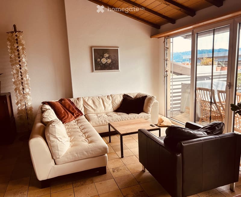 Grosse 3.5-Zimmer Maisonette-Wohnung (5)