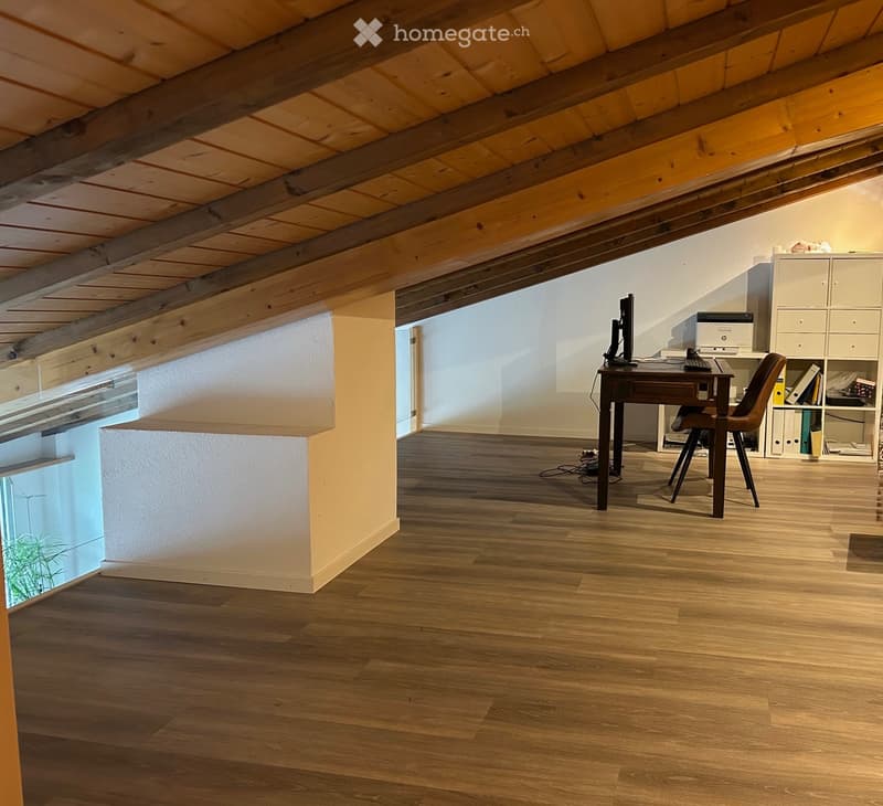 Grosse 3.5-Zimmer Maisonette-Wohnung (4)