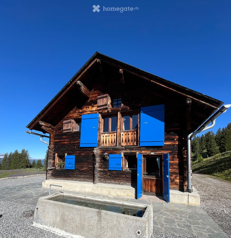 Chalet à louer au calme à Leysin pour saison hiver 26/27 (2)