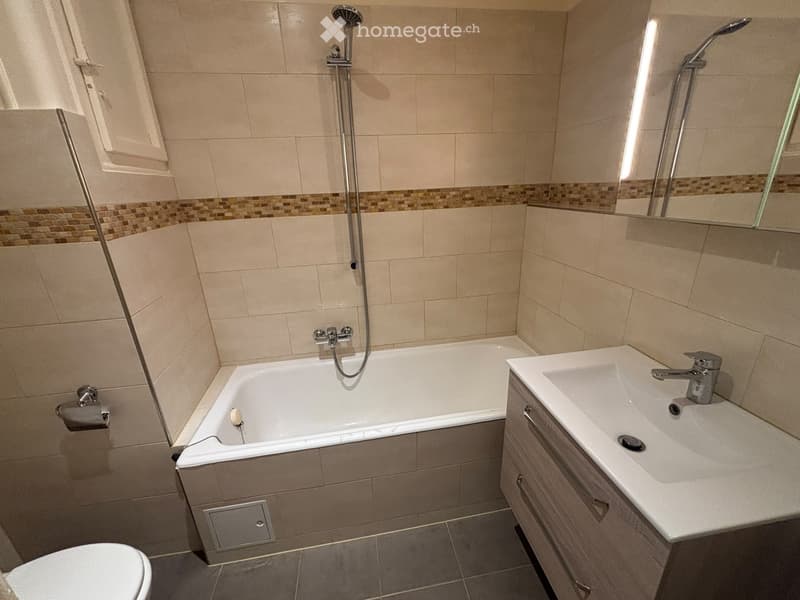 Appartement de 3 pièces à Genève - Quartier Vollandes (3)