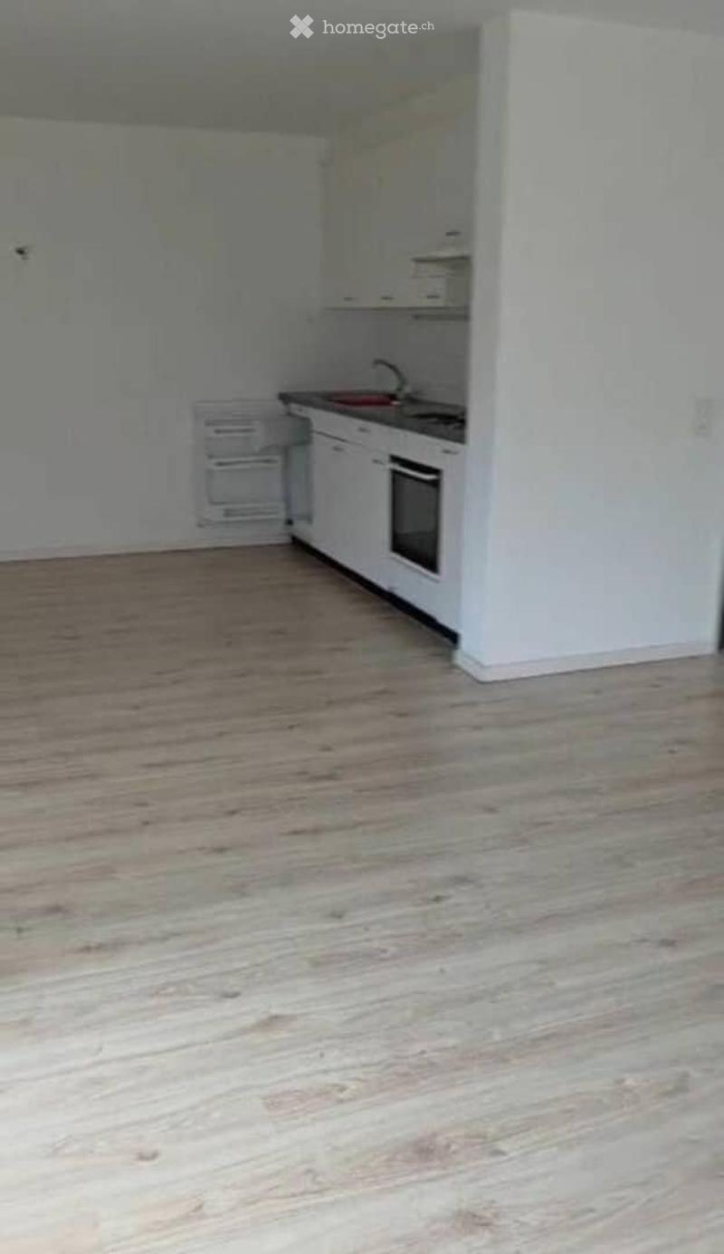 Schöne 2,5-Zimmer-Wohnung (52 m²) in Winterthur. (5)