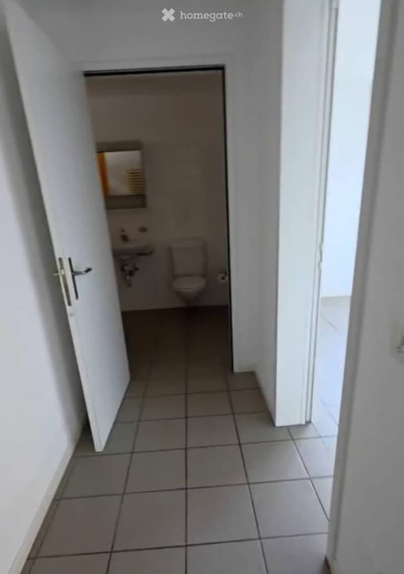 Schöne 2,5-Zimmer-Wohnung (52 m²) in Winterthur. (3)