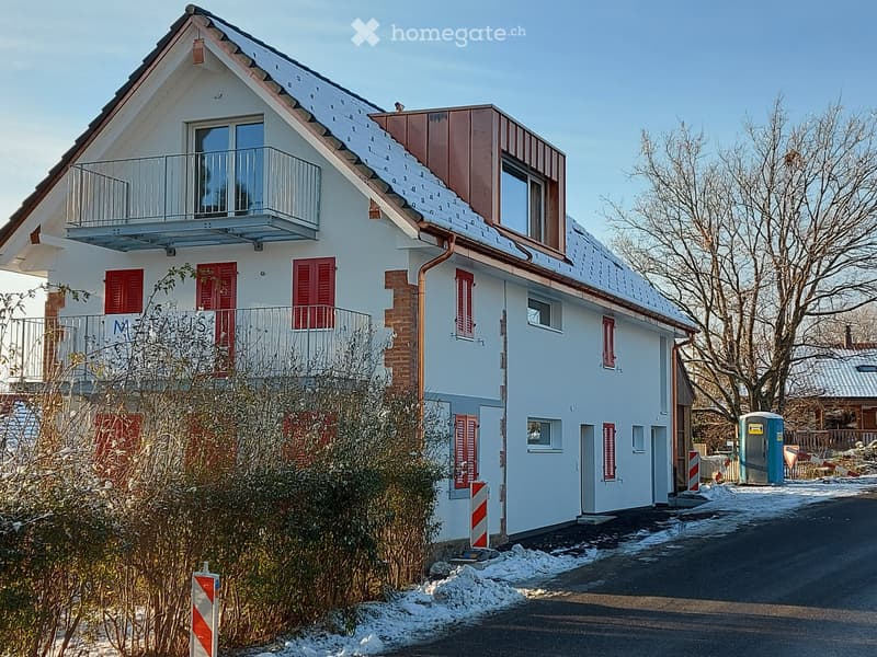 Appartement 2 1/2 pièces à louer (1)