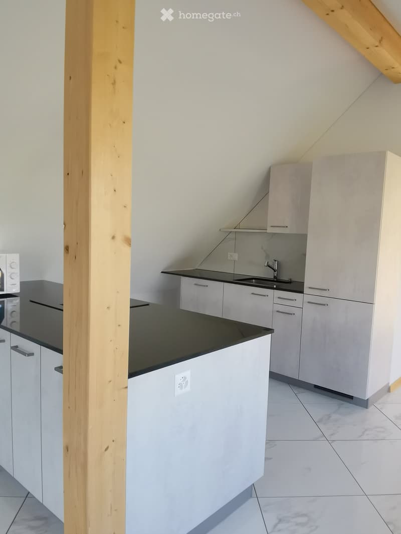 Appartement 2 1/2 pièces à louer (3)