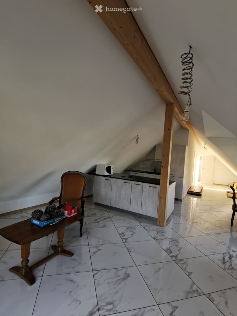 Appartement 2 1/2 pièces à louer (5)