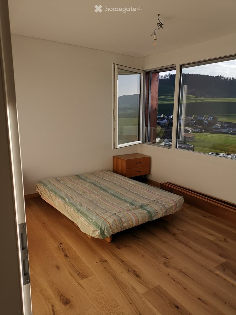 Appartement 2 1/2 pièces à louer (4)