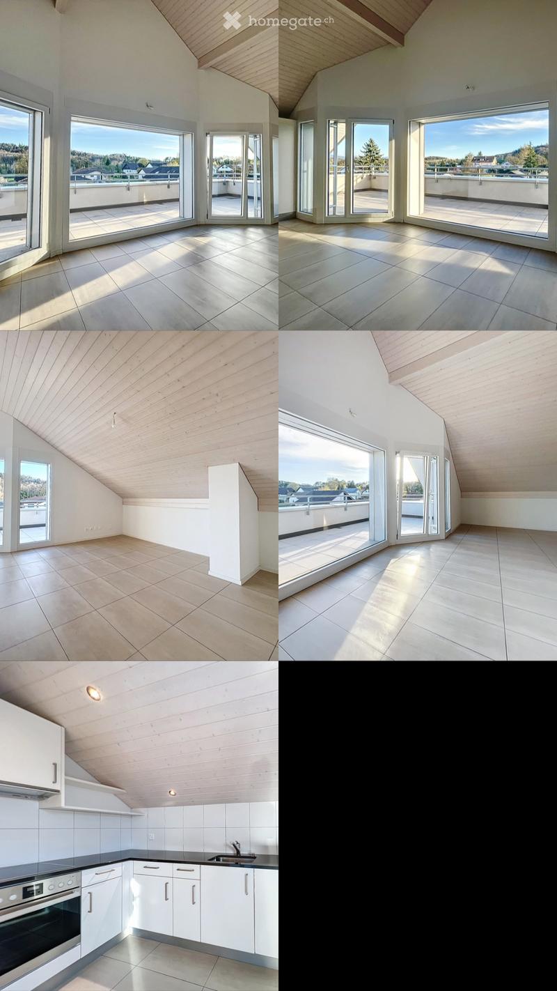 Magnifique appartement 3,5 Pièces avec vue panoramique (4)