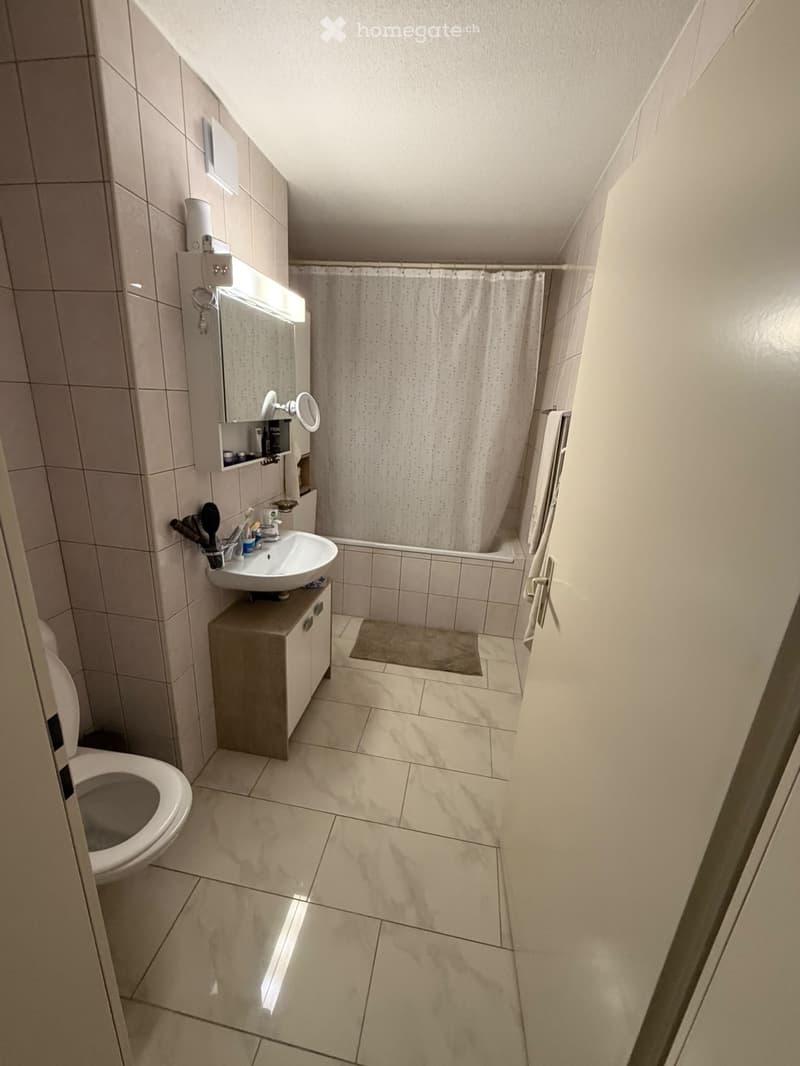 Appartement 3.5 pieces (3)