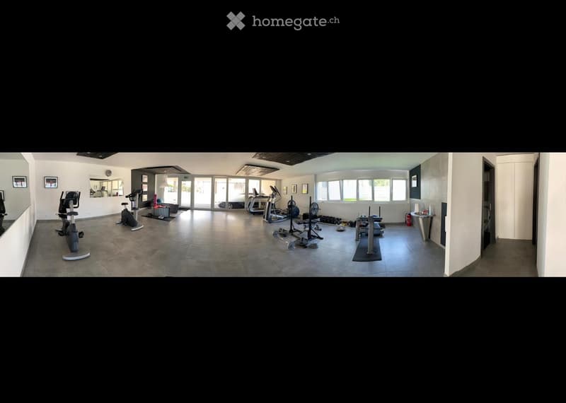 duplex de 3,5 pièces avec mezzanine & grande terrasse (3)