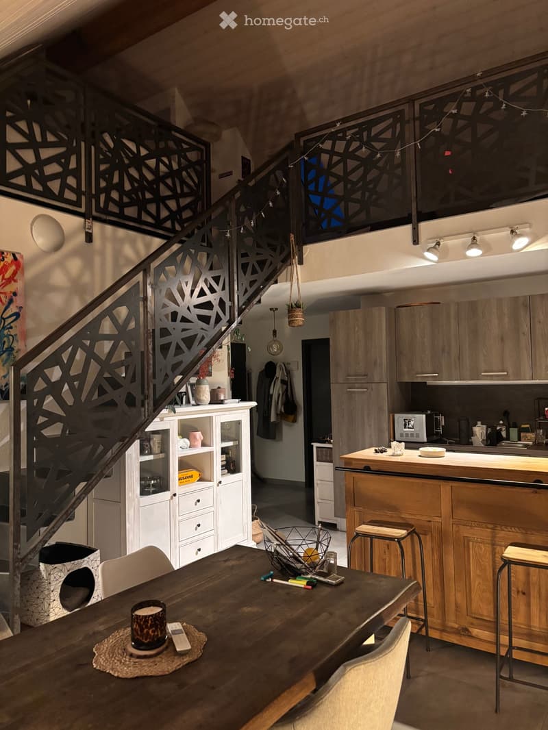 duplex de 3,5 pièces avec mezzanine & grande terrasse (4)