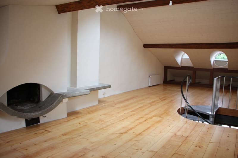 Magnifique Duplex / loft, 3 pièces (2)