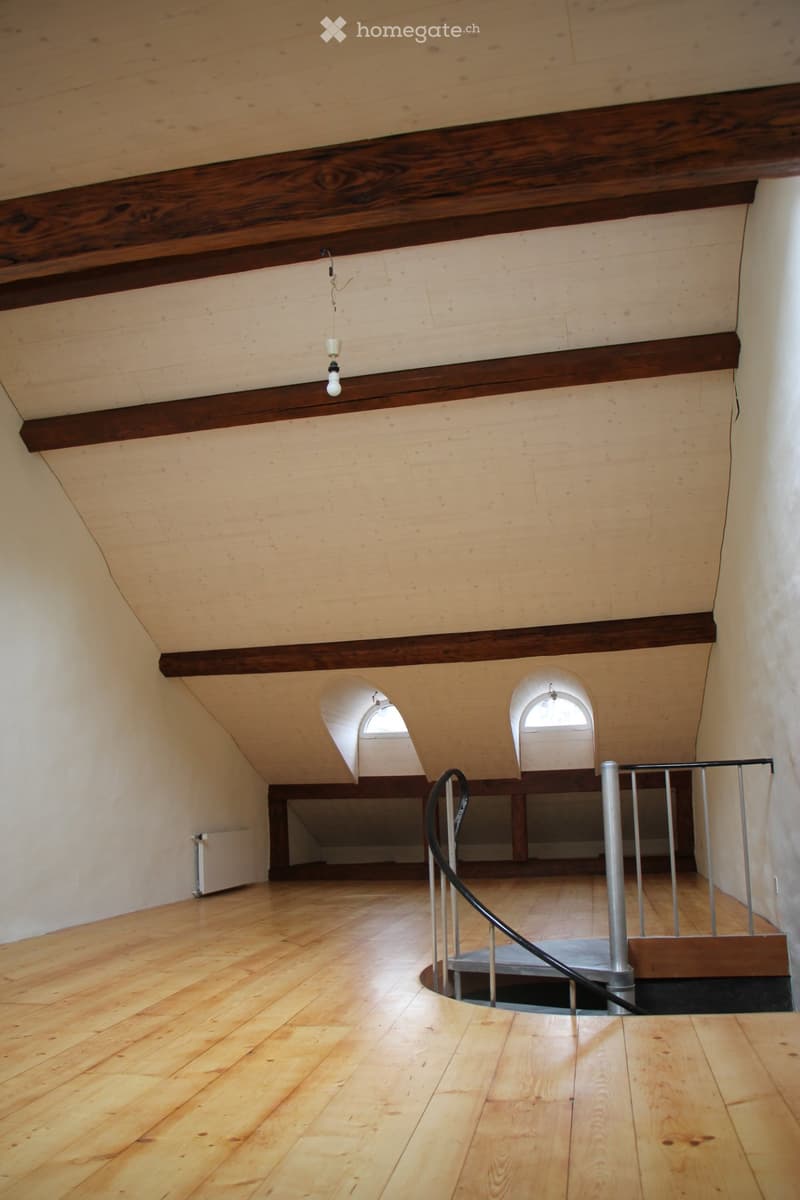 Magnifique Duplex / loft, 3 pièces (5)
