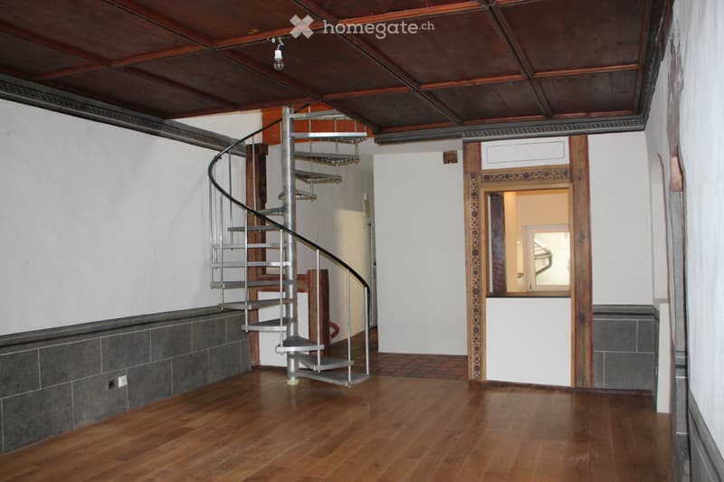 Magnifique Duplex / loft, 3 pièces (1)
