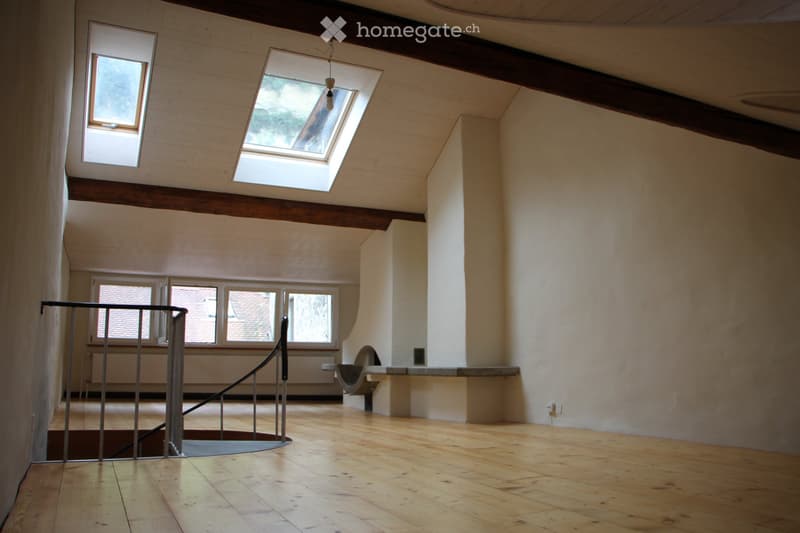 Magnifique Duplex / loft, 3 pièces (3)