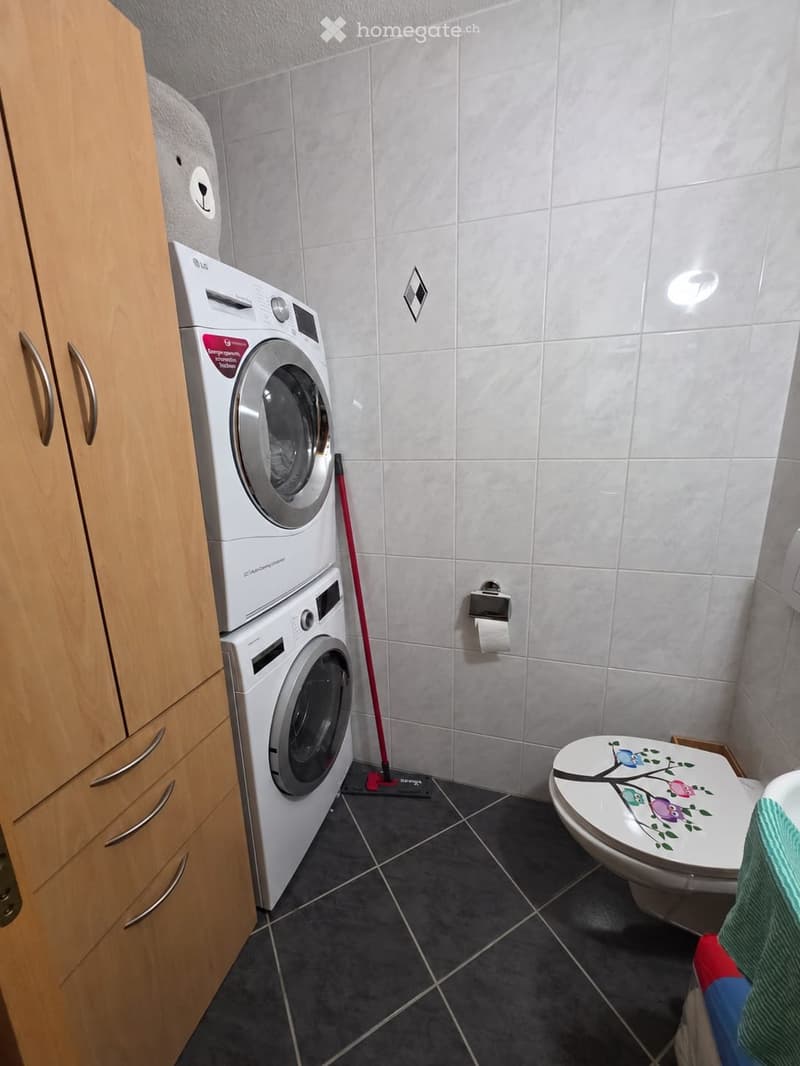 Grand appartement lumineux de 5,5 (5)