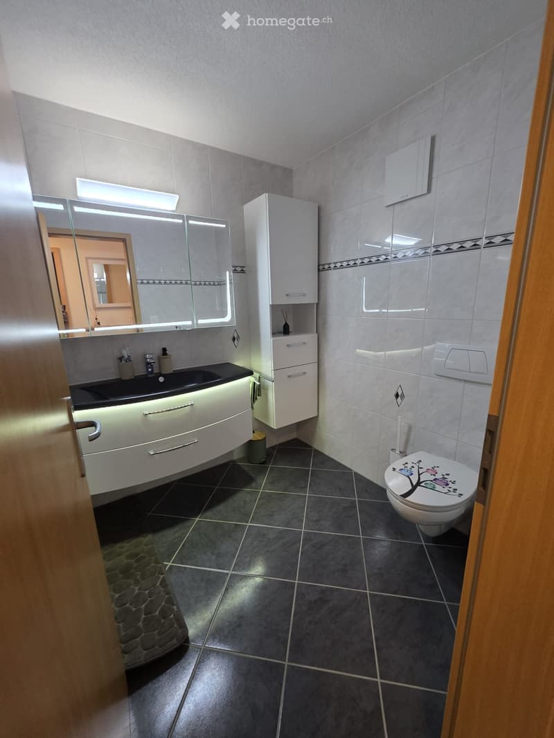 Grand appartement lumineux de 5,5 (3)