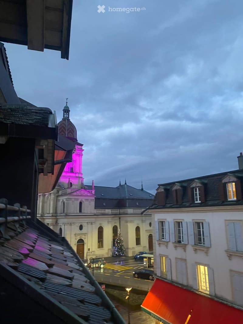 Magnifique et spacieux 2.5 pièces au centre de Morges (2)