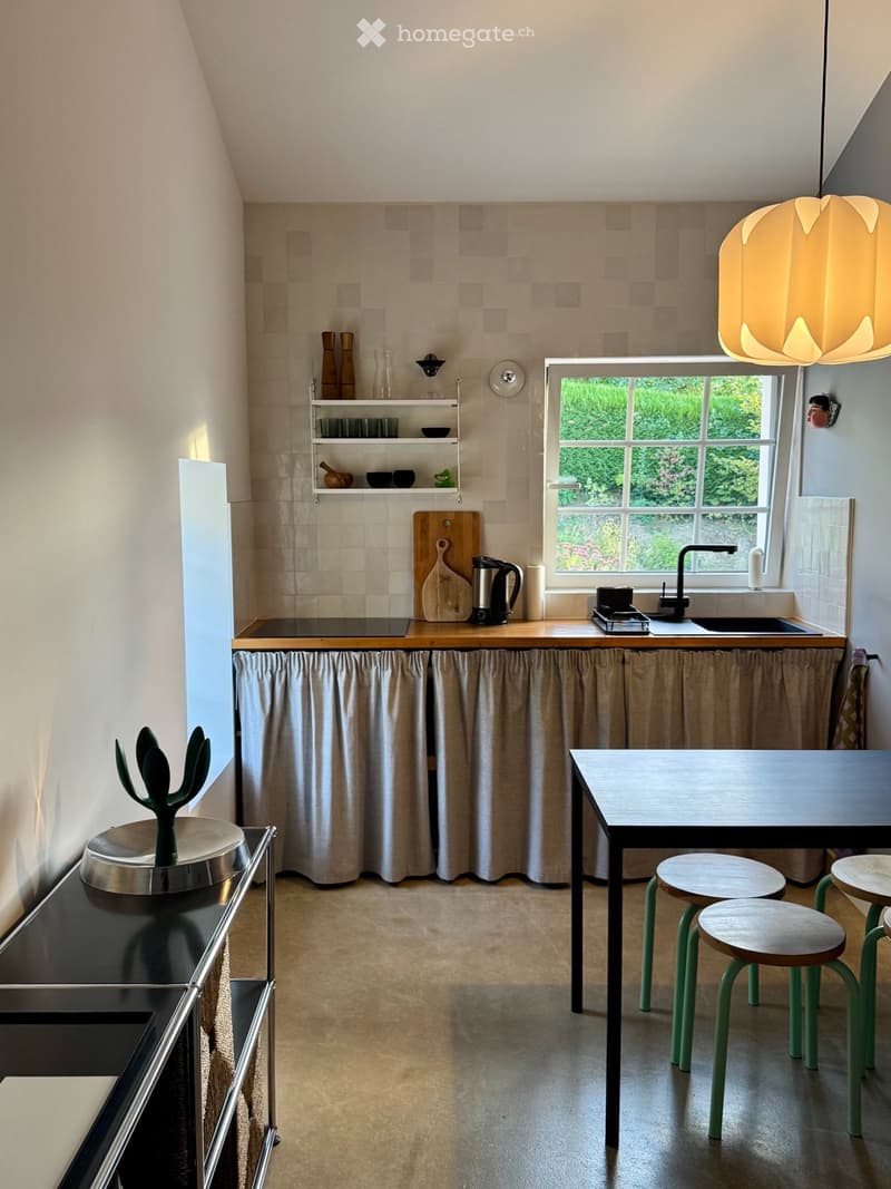 Collonges-sous-Salève - Grand Studio mezzanine et extérieur (2)