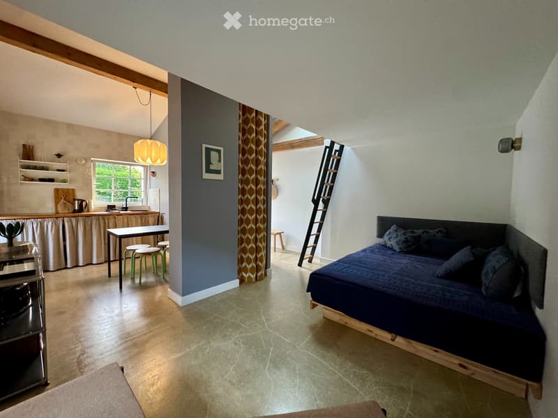 Collonges-sous-Salève - Grand Studio mezzanine et extérieur (1)