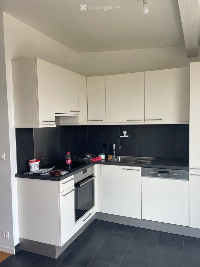 Appartement 3 chambres 2 salles de bains centre Plainpalais. (4)