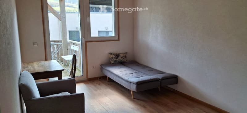Beau 3 pièces, 60m2 avec balcon  et jardin potagé à Cheiry (4)