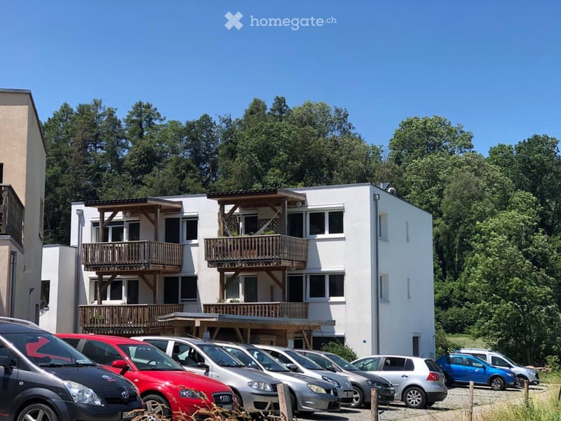Beau 3 pièces, 60m2 avec balcon  et jardin potagé à Cheiry (5)