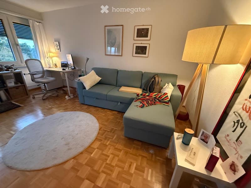 Chambre à louer au Grand Torry (3)