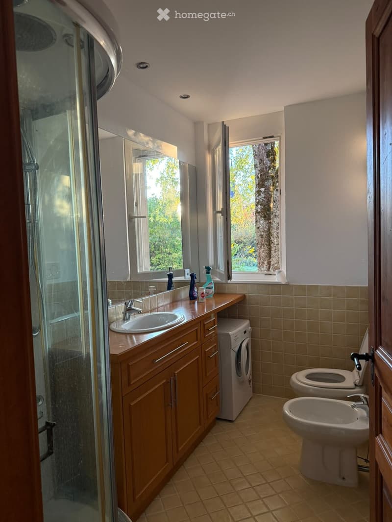 Appartement atypique se libère à Grand-Rue 22 (2)