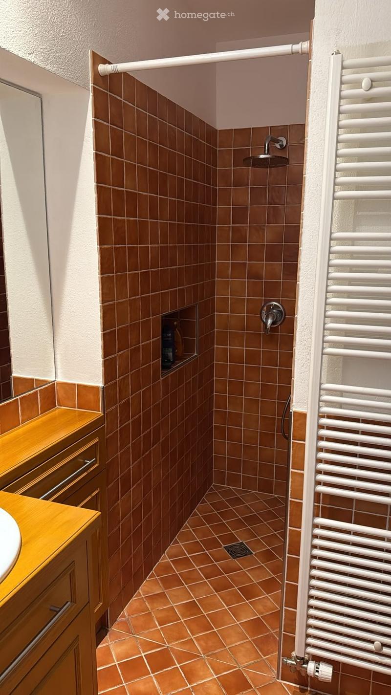 Appartement atypique se libère à Grand-Rue 22 (5)