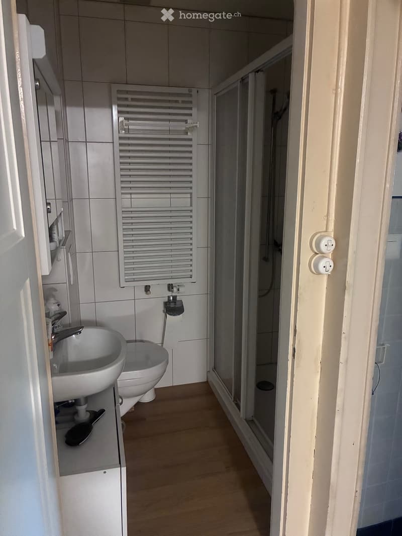 Appartement 3.5 pièces 3ième étage (5)