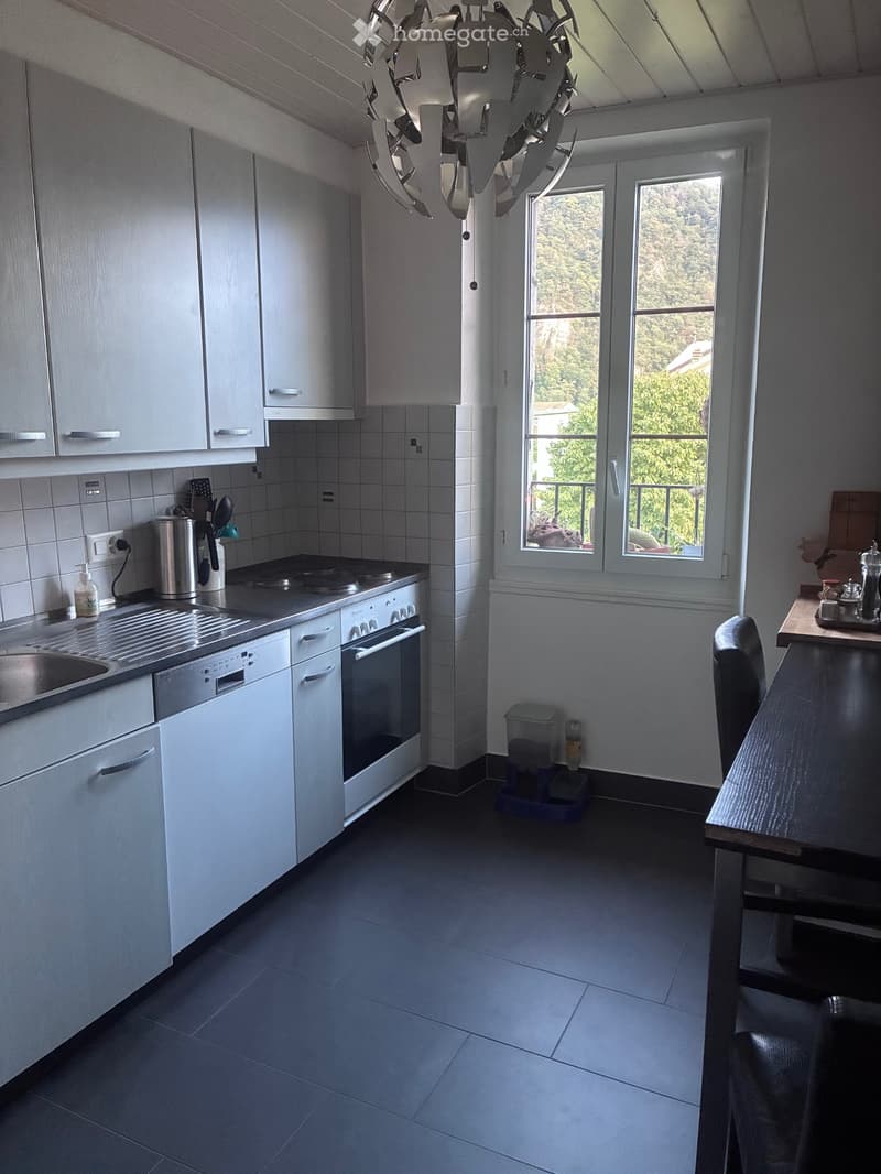 Appartement 3.5 pièces 3ième étage (3)