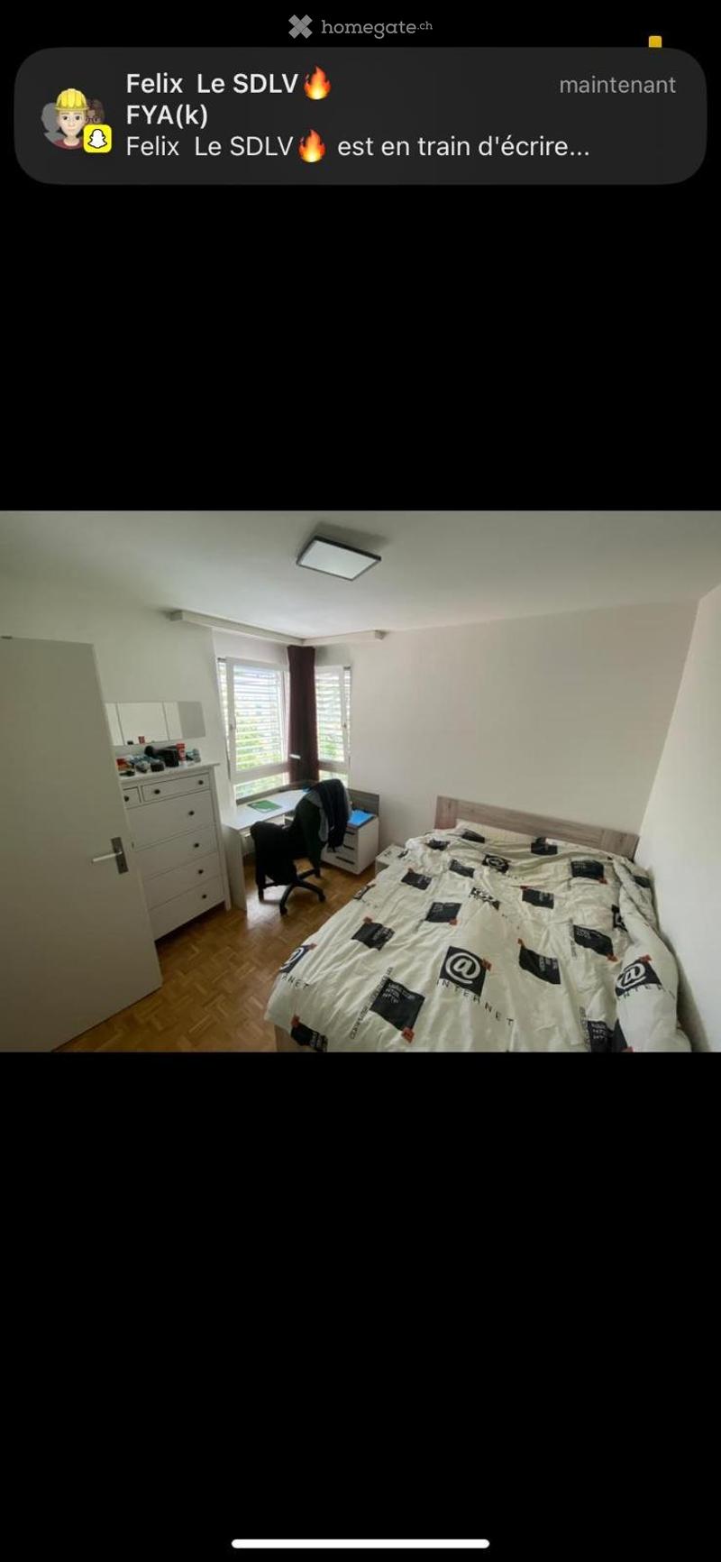 3-Bedroom Apartment in St. Gallen Looking for 3 New Tenants (3)