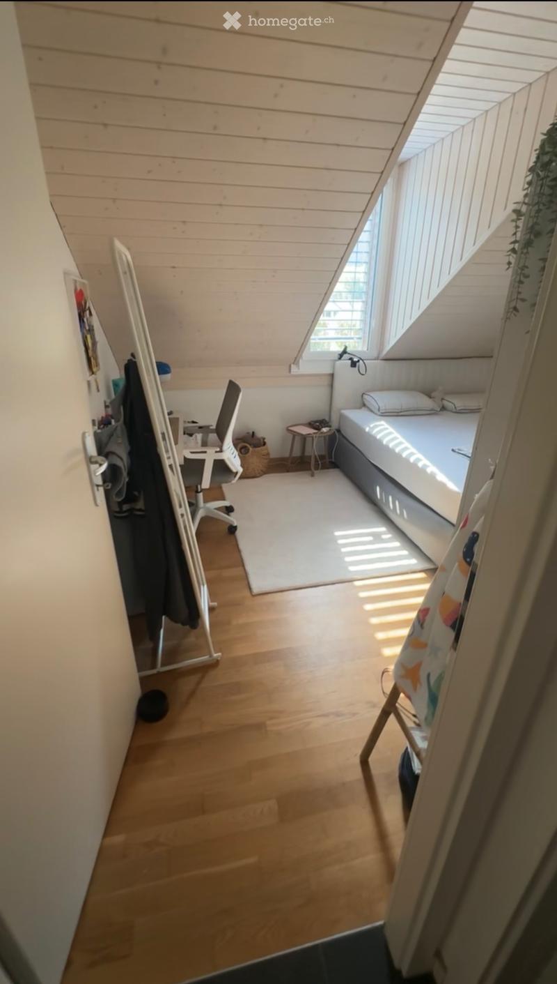 Chessel - Charmant appartement 2,5 pièces sous les toits (5)