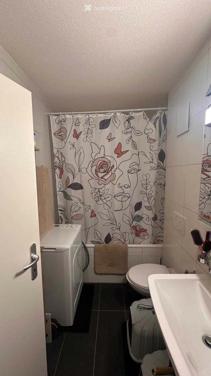 Chessel - Charmant appartement 2,5 pièces sous les toits (4)