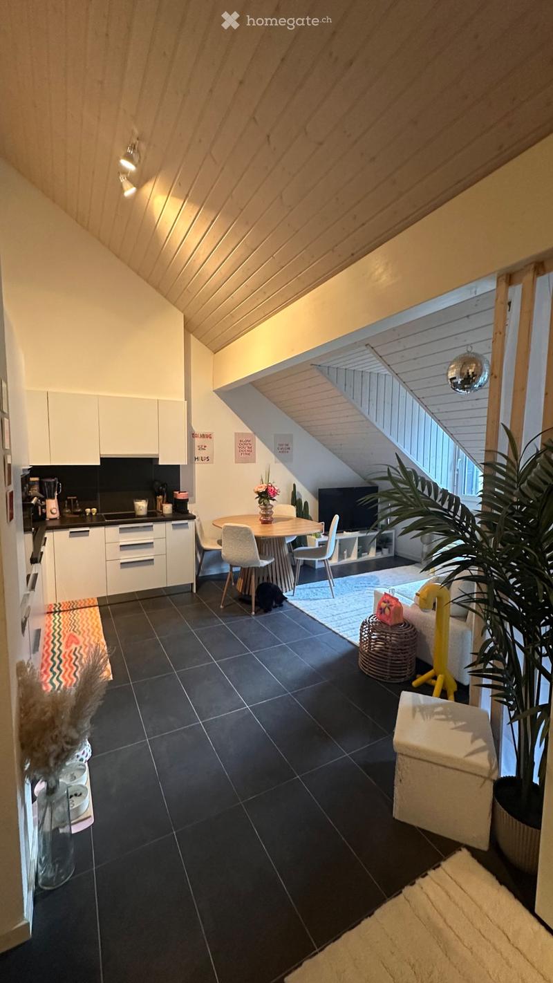 Chessel - Charmant appartement 2,5 pièces sous les toits (1)