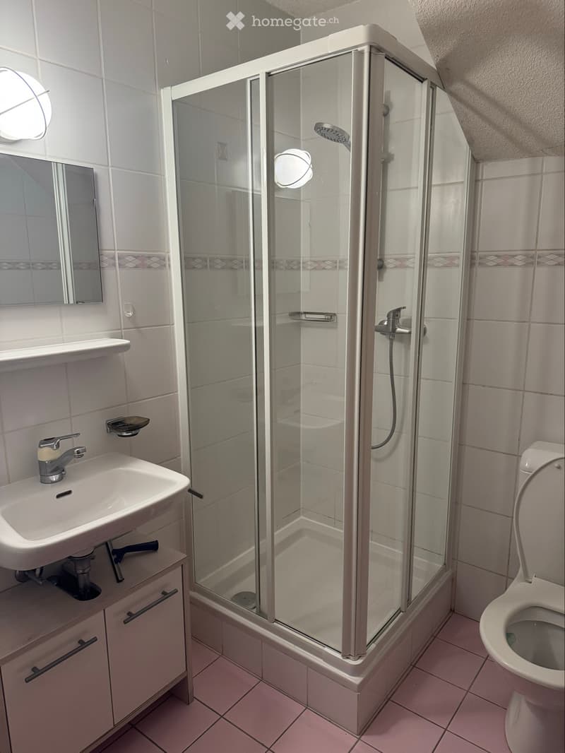 Petit appart. 1p meublé, pied-à-terre du lundi au vendredi (4)