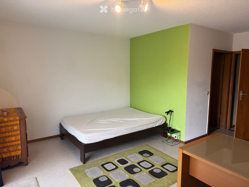 Petit appart. 1p meublé, pied-à-terre du lundi au vendredi (3)