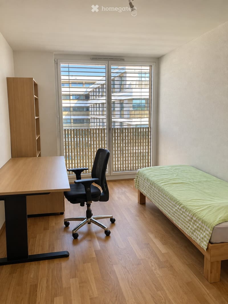 6 pièces 132 m2, 7e étage, 4 chambres, 2 balcons, vue Salève (7)