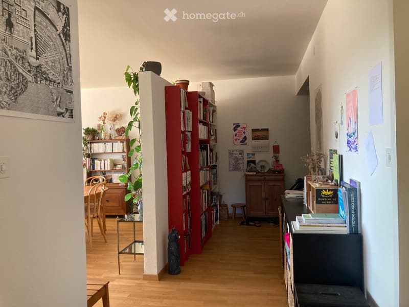 Grand appartement à louer à Lausanne (4)