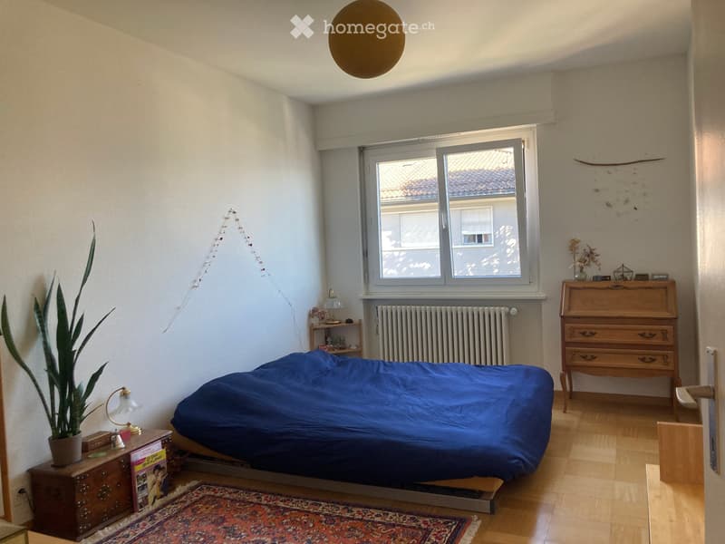 Grand appartement à louer à Lausanne (5)