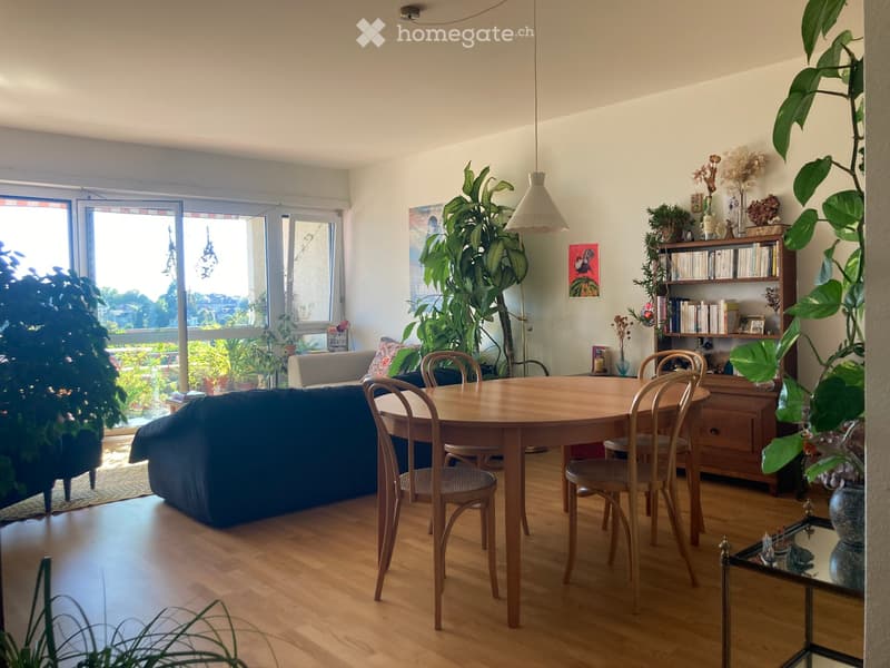 Grand appartement à louer à Lausanne (2)