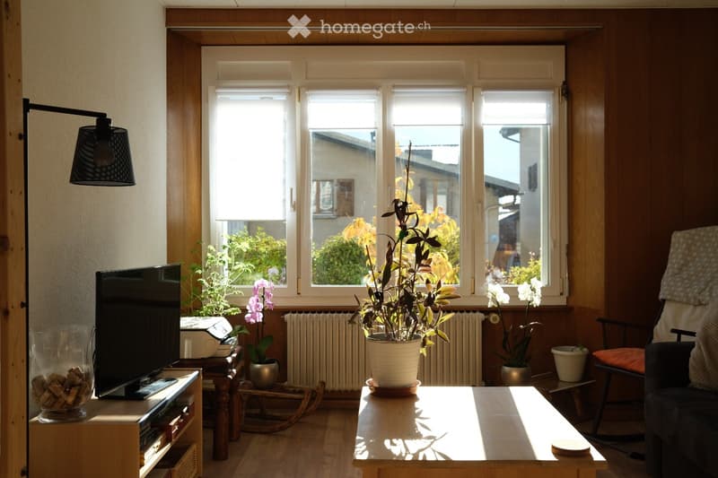 Appartement 3,5 pièces et pelouse (4)