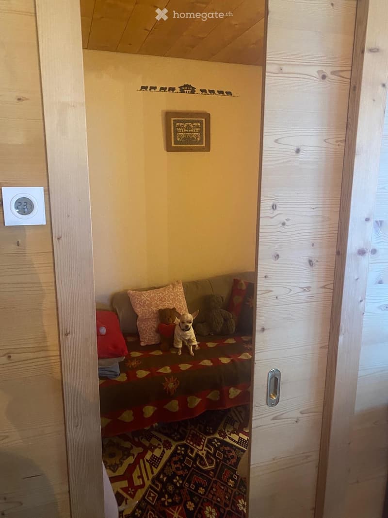 Appartement pres de Gstaad (2)