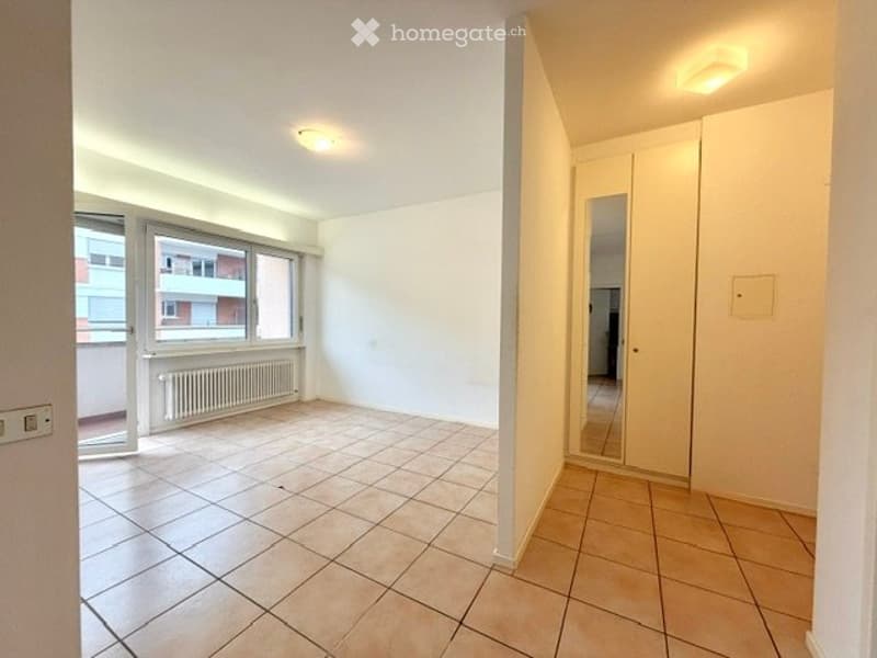 Lugano - Cassarate 1.5 locali con balcone (3)