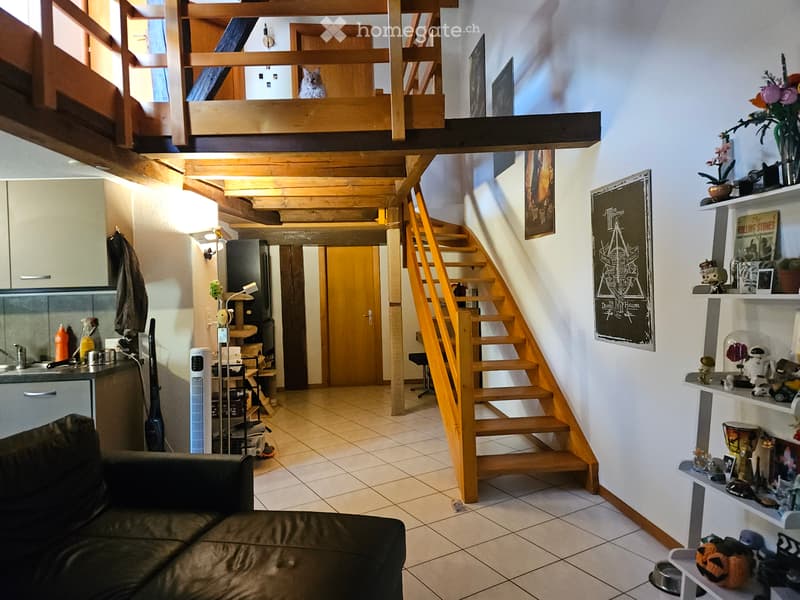 Appartement Duplex (5)