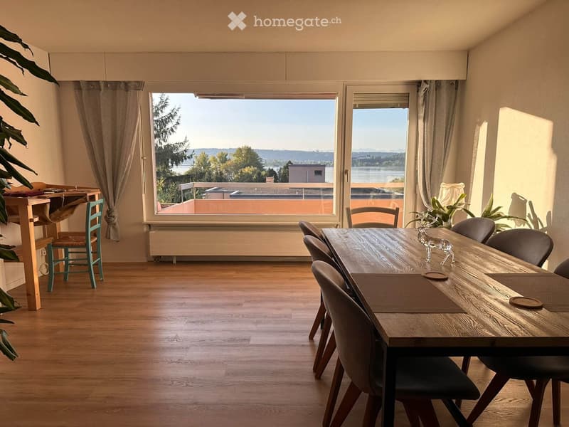 Magnifique appartement avec vue sur le lac de Bienne (1)