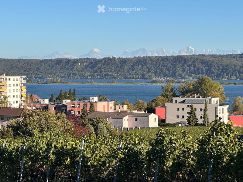 Magnifique appartement avec vue sur le lac de Bienne (4)