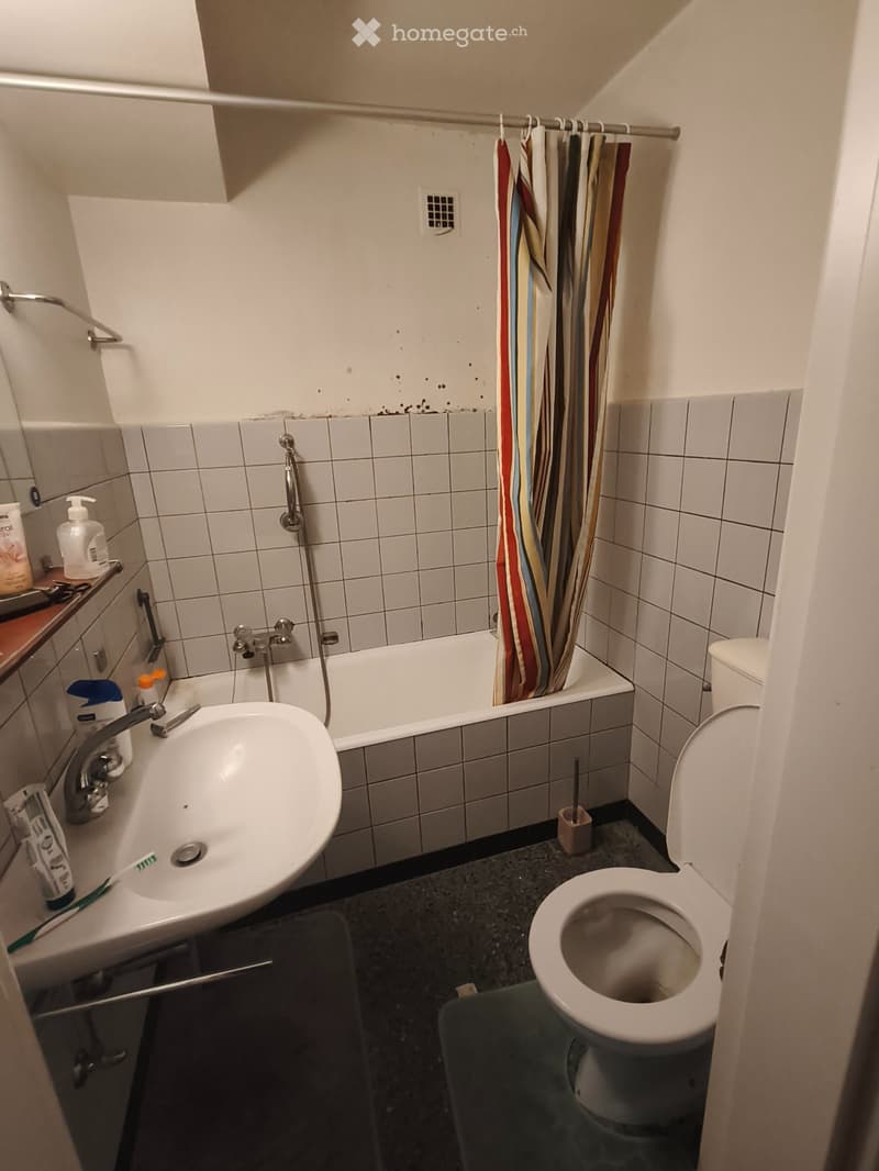 Appartement a louer (3)